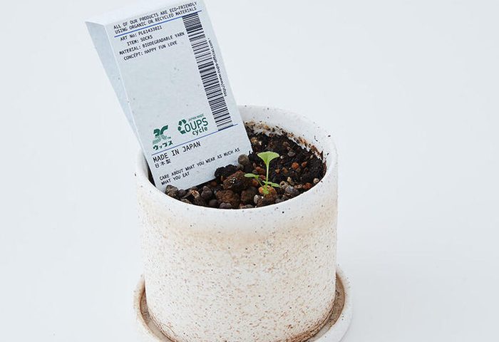 抹茶やコーヒーかすで、染める